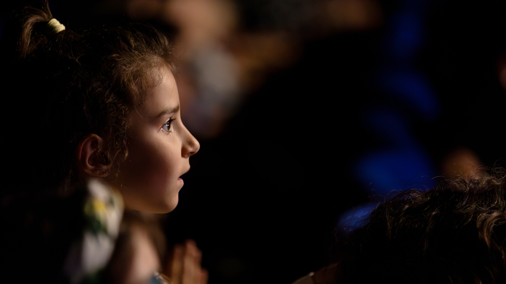 Festival - Cactus Film Festival, image size:1920x1080